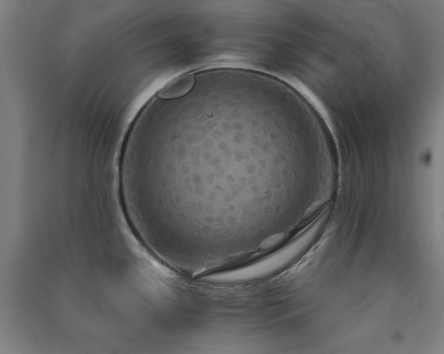 X0000091481341200708161411