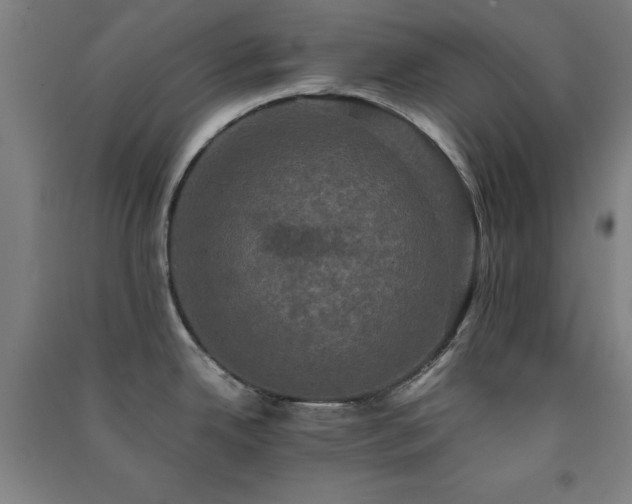 X0000091481342200708161411