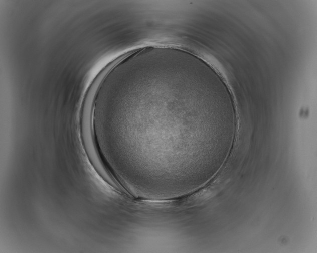 X0000091481344200708161411
