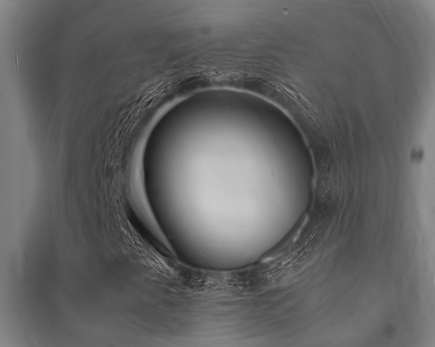 X0000091481345200708161411