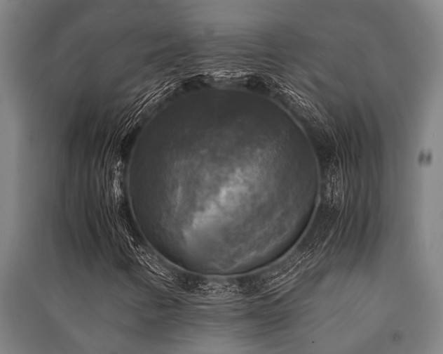 X0000091481346200708161411