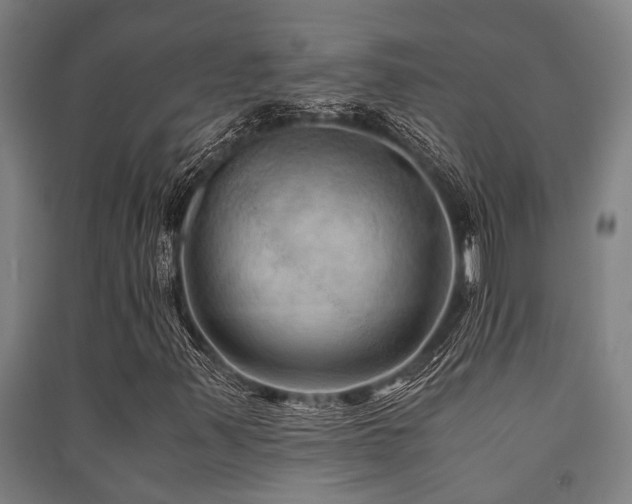 X0000091481347200708161411