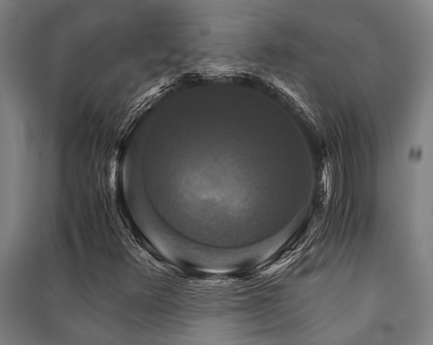 X0000091481348200708161410