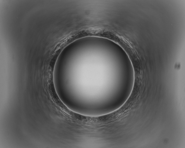 X0000091481349200708161410