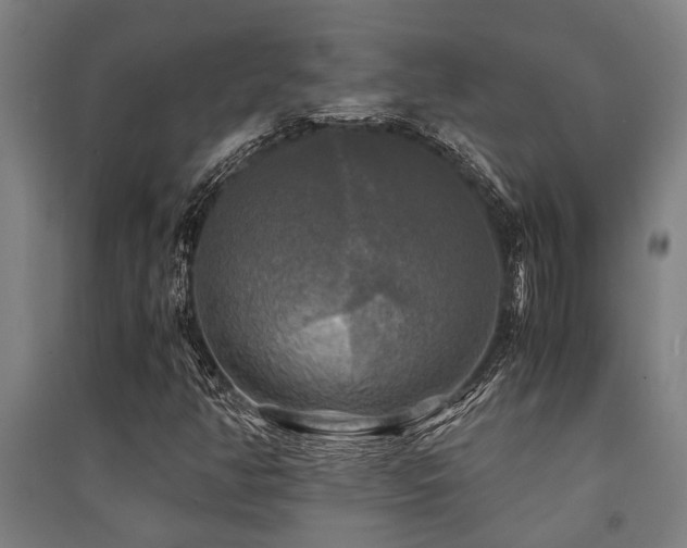 X0000091481350200708161410