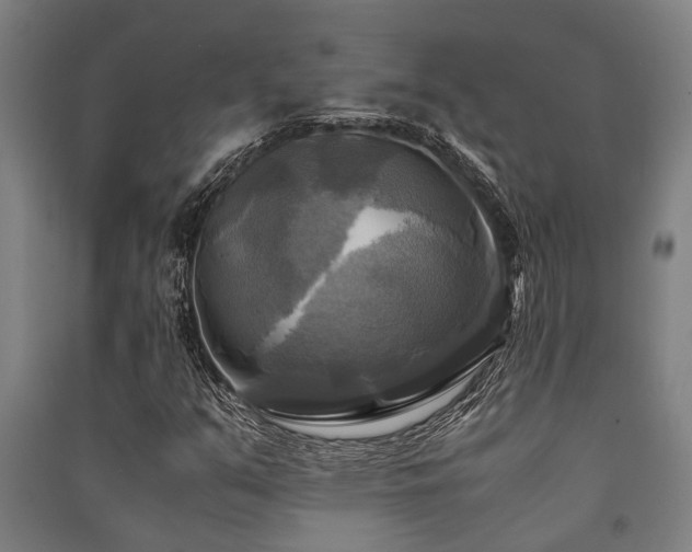 X0000091481351200708161410