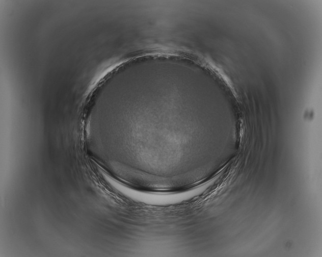 X0000091481352200708161410