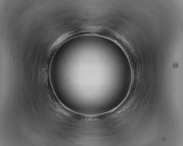 X0000091481354200708161410