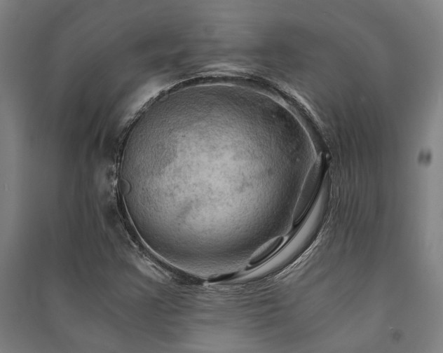 X0000091481355200708161410