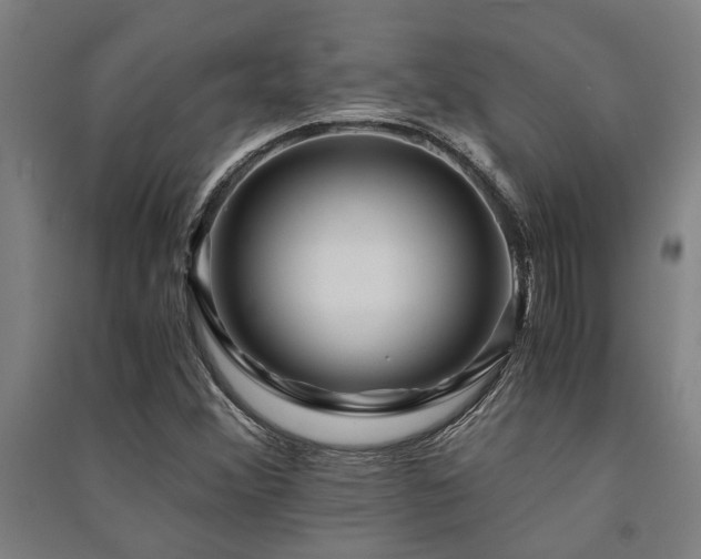 X0000091481356200708161410