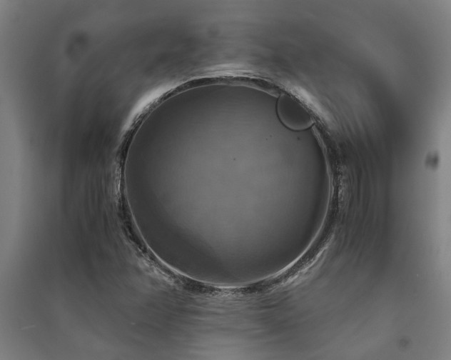 X0000091481358200708161410