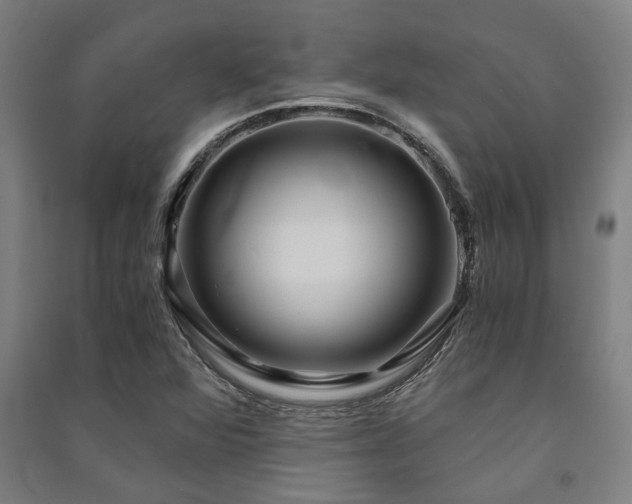 X0000091481360200708161410