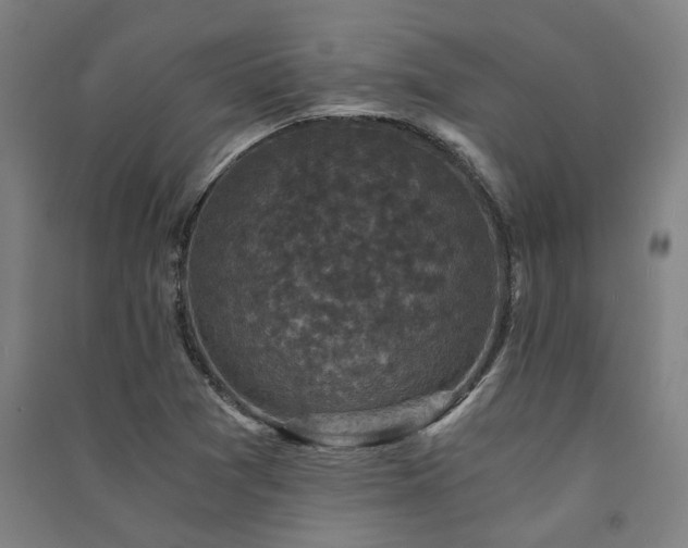 X0000091481361200708161410