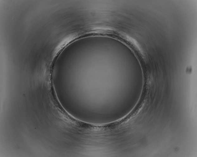 X0000091481362200708161410