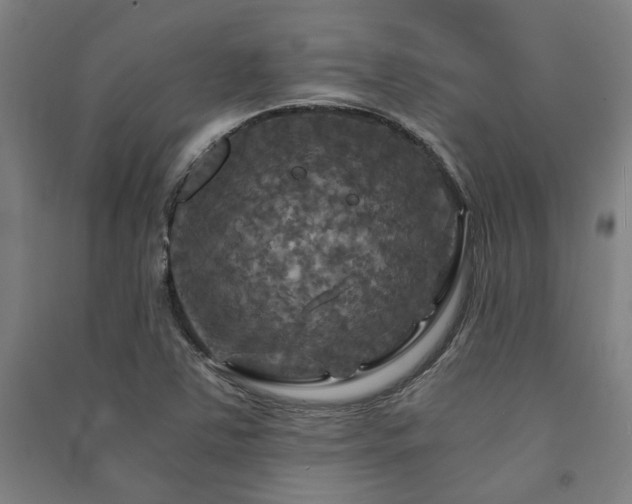 X0000091481363200708161410