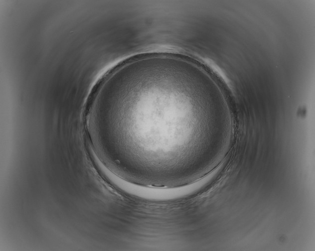 X0000091481364200708161410