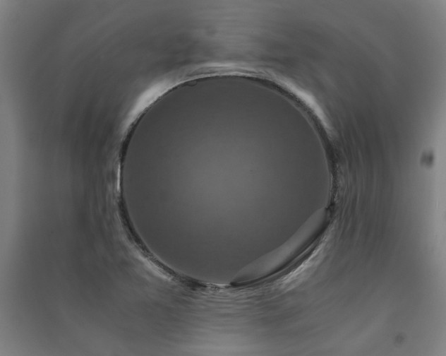 X0000091481365200708161410