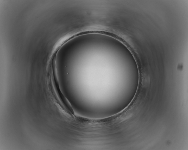 X0000091481366200708161410