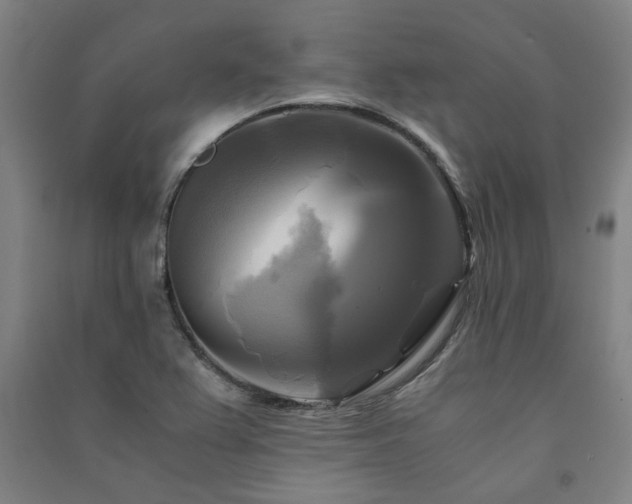 X0000091481367200708161410