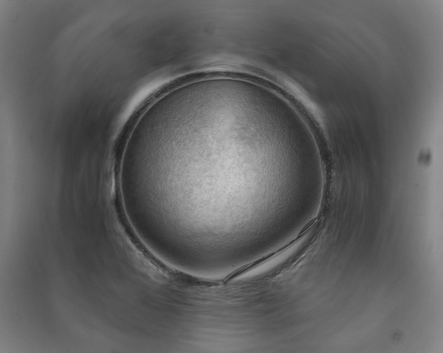 X0000091481368200708161410