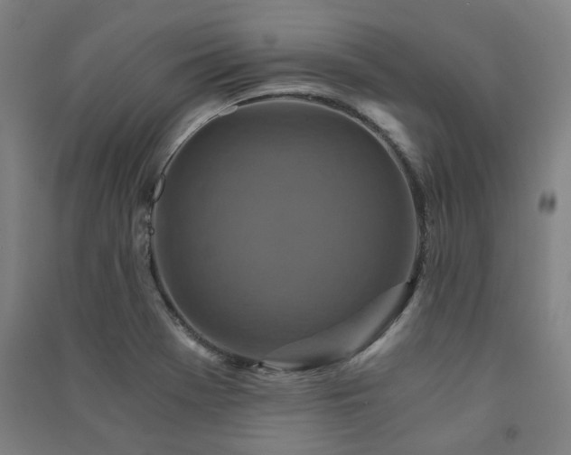 X0000091481369200708161410