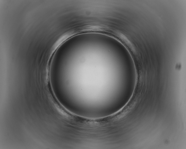 X0000091481370200708161410