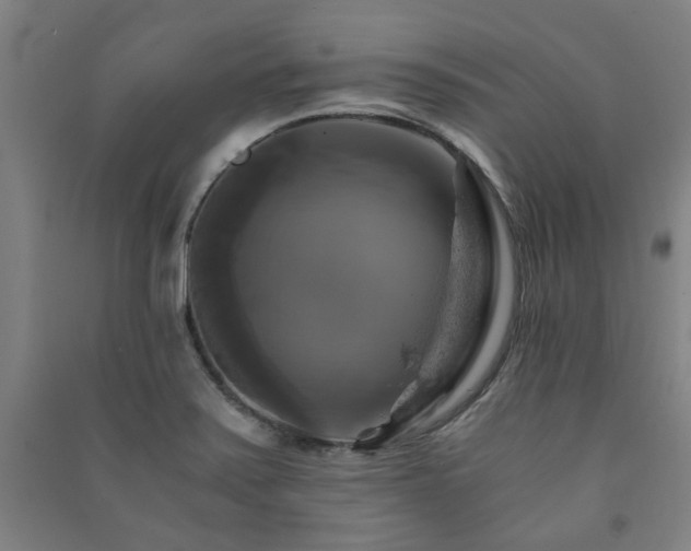 X0000091481371200708161410