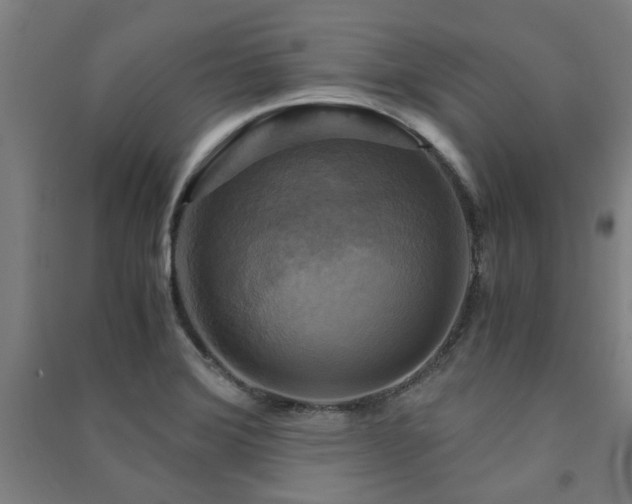 X0000091481372200708161410