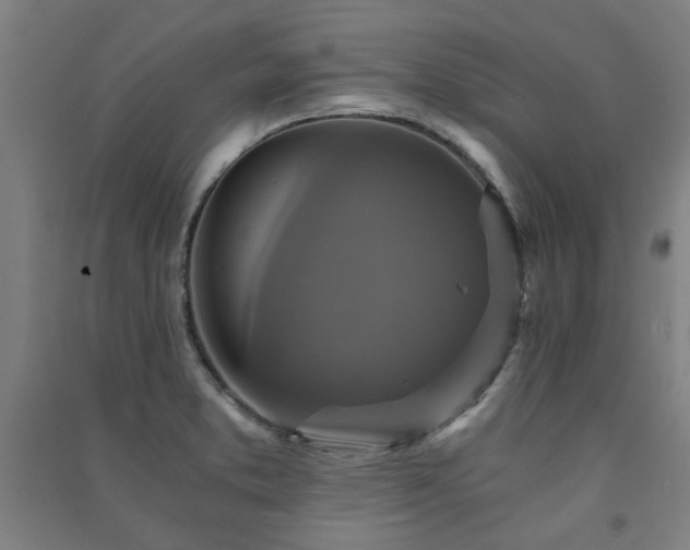 X0000091481373200708161410