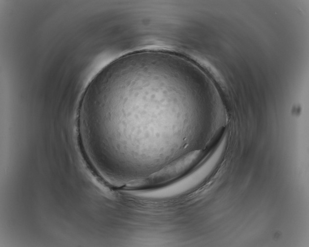 X0000091481375200708161410