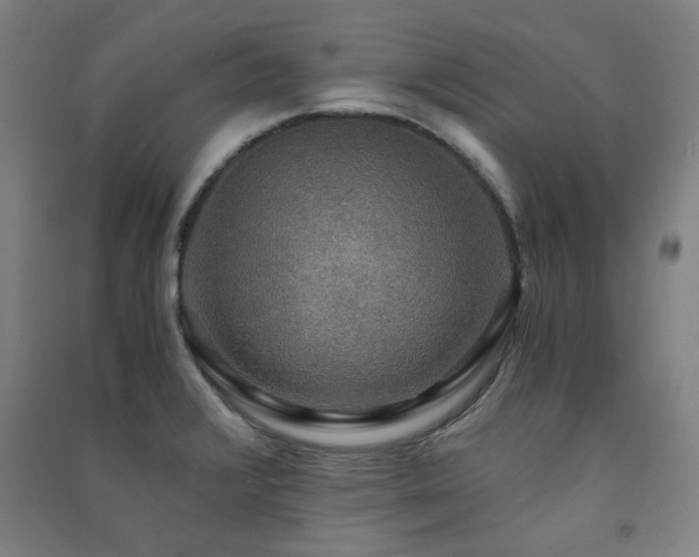 X0000091481376200708161410