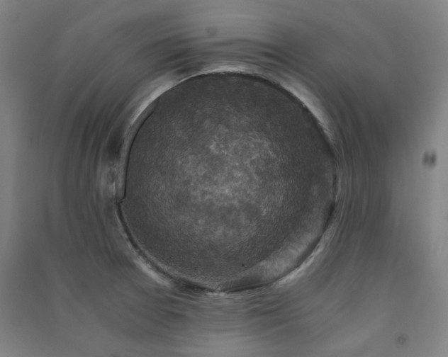 X0000091481377200708161410