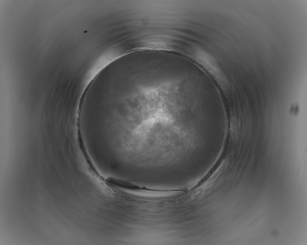 X0000091481378200708161410