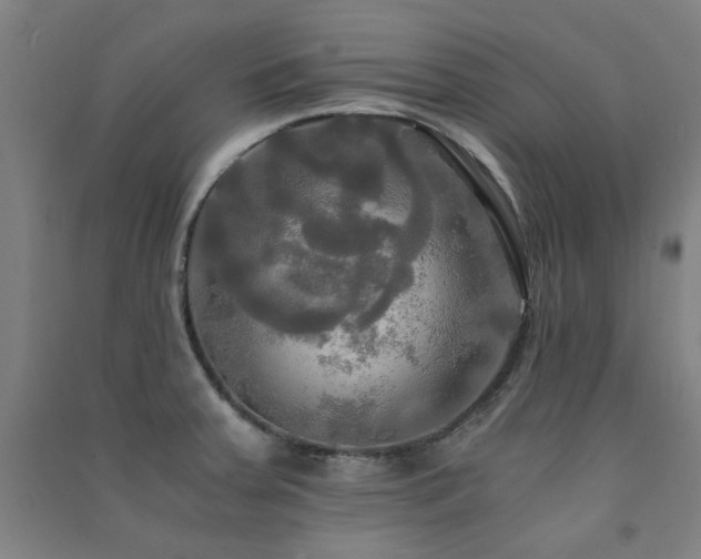 X0000091481379200708161410