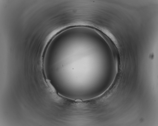X0000091481380200708161410
