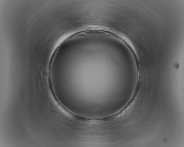X0000091481381200708161410