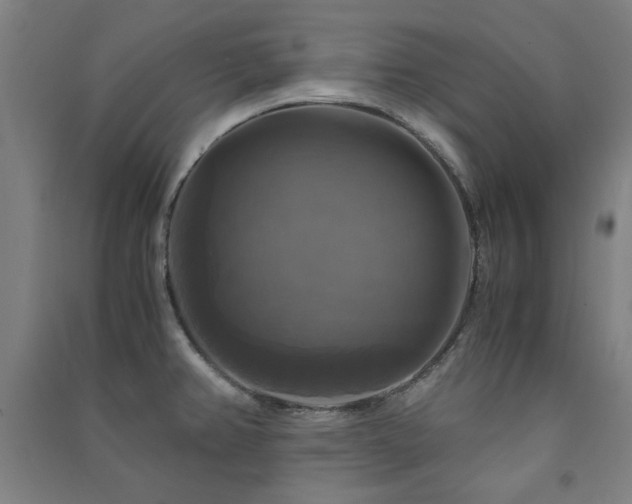 X0000091481382200708161410
