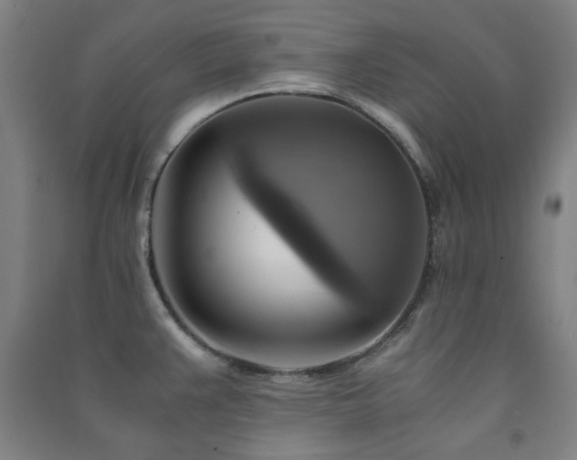 X0000091481383200708161410