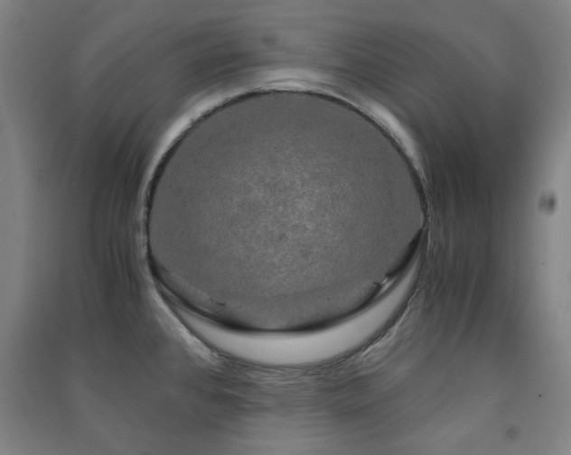 X0000091481384200708161410