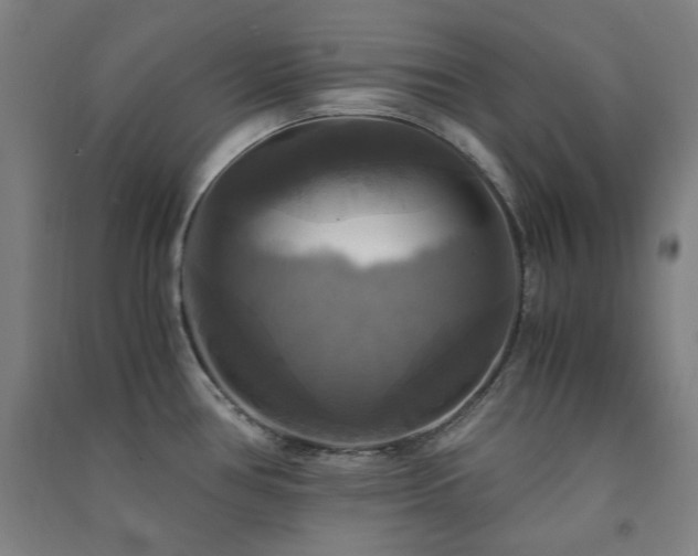 X0000091481386200708161410
