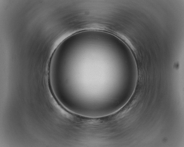 X0000091481387200708161410