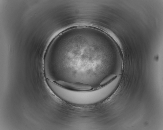 X0000091481388200708161410