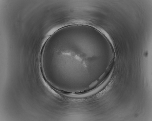 X0000091481389200708161410