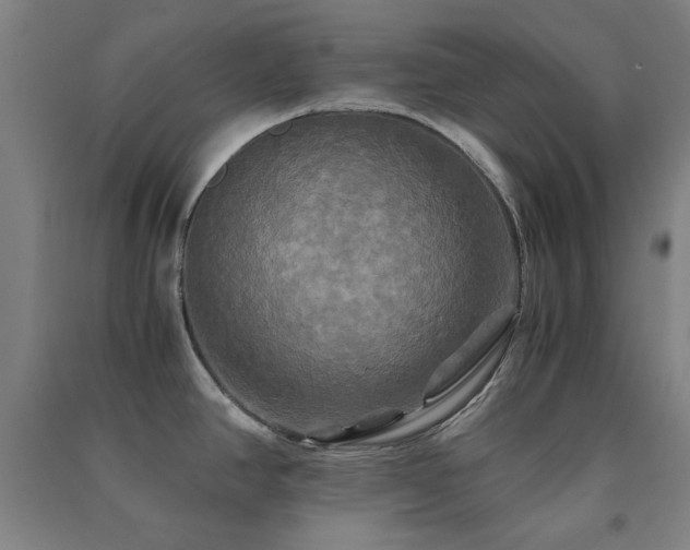 X0000091481390200708161410