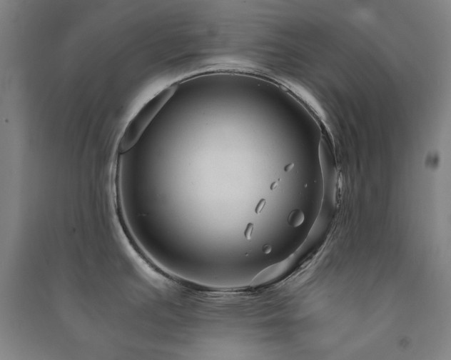 X0000091481391200708161410