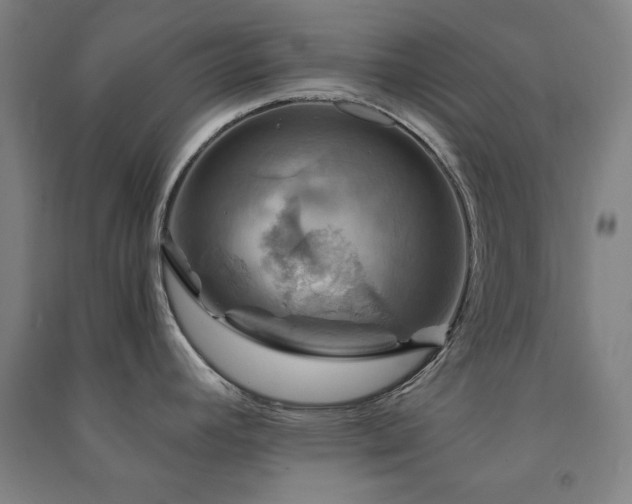X0000091481392200708161410