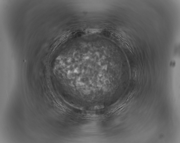 X0000091481393200708161409