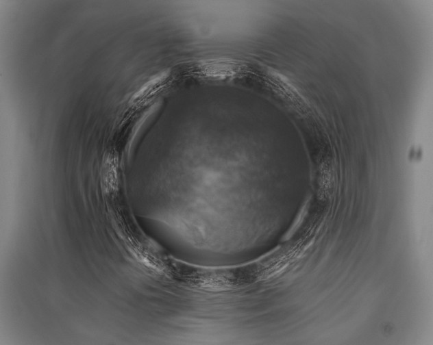 X0000091481394200708161409