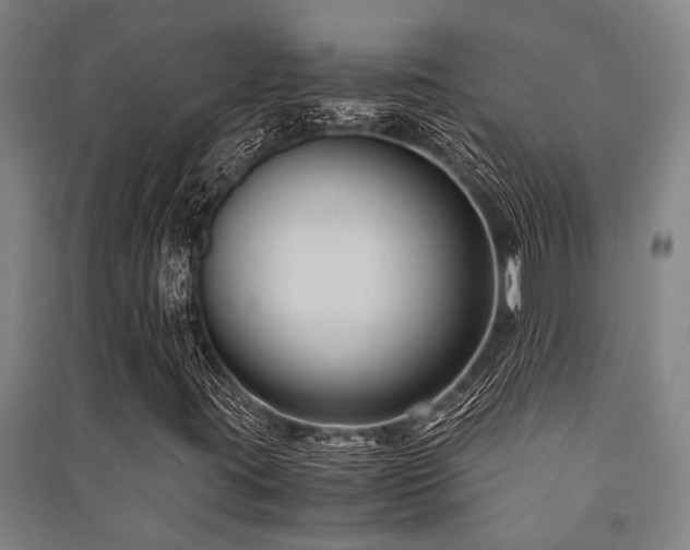 X0000091481395200708161409