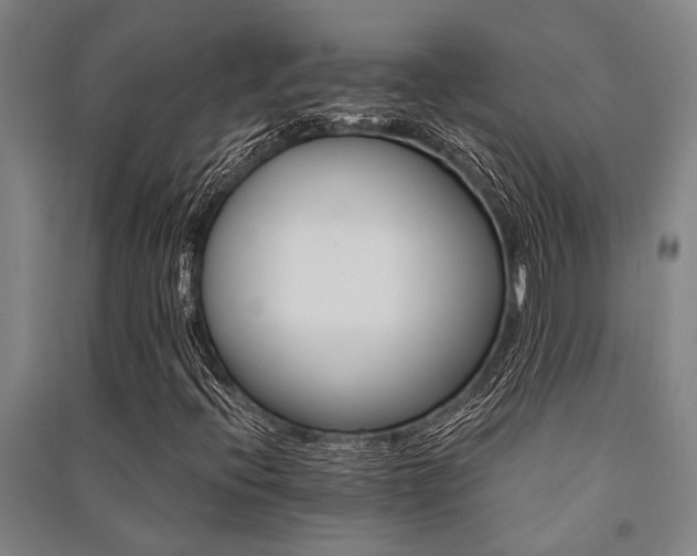 X0000091481396200708161409